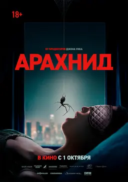 Арахнид
