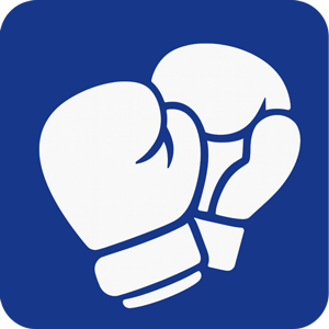 Зимний кубок по боксу