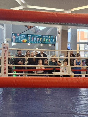 Открытый ринг по боксу