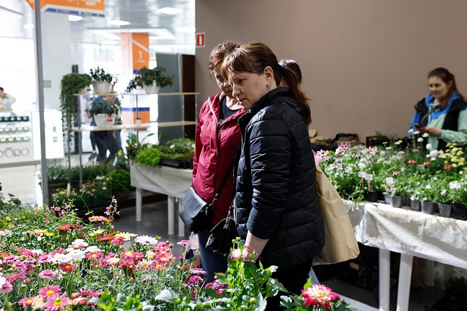 Строительные выходные 26-27 апреля