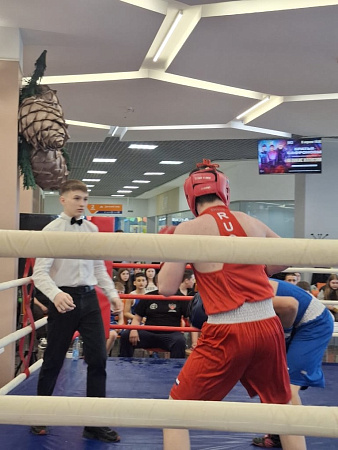 Открытый ринг по боксу