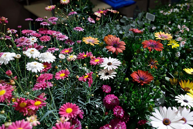 Строительные выходные 26-27 апреля